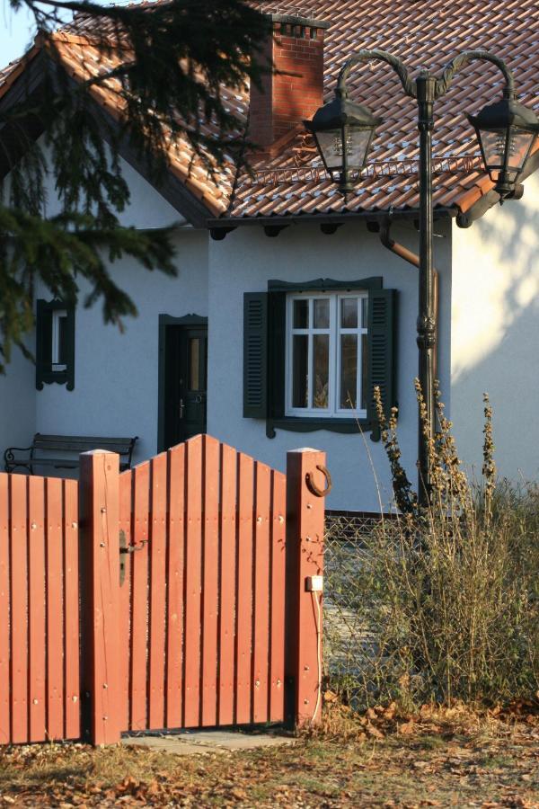 Zielone Okiennice Miłki Exteriér fotografie