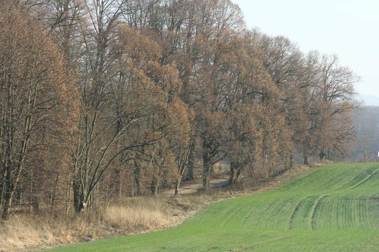 Zielone Okiennice Miłki Exteriér fotografie