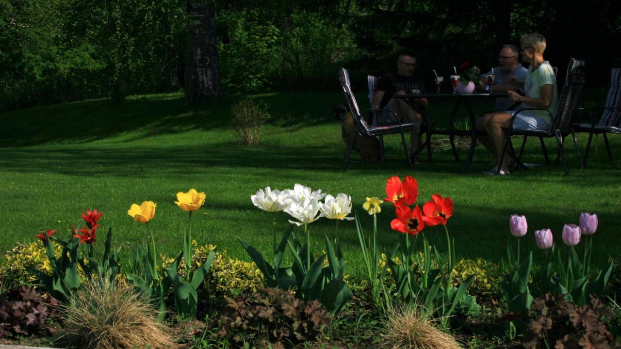 Zielone Okiennice Miłki Exteriér fotografie