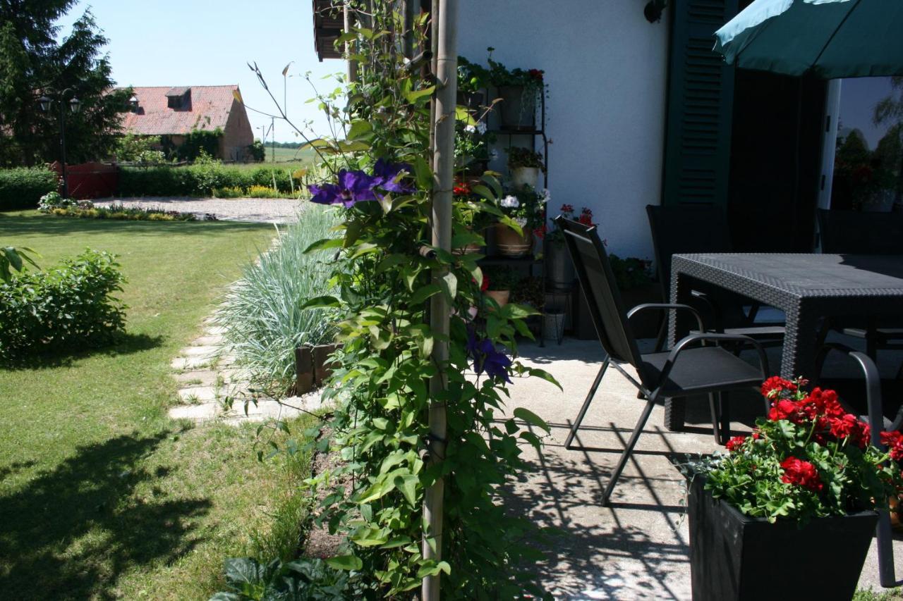 Zielone Okiennice Miłki Exteriér fotografie