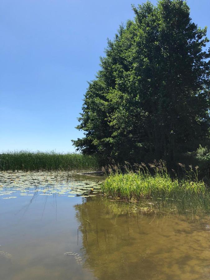 Zielone Okiennice Miłki Exteriér fotografie